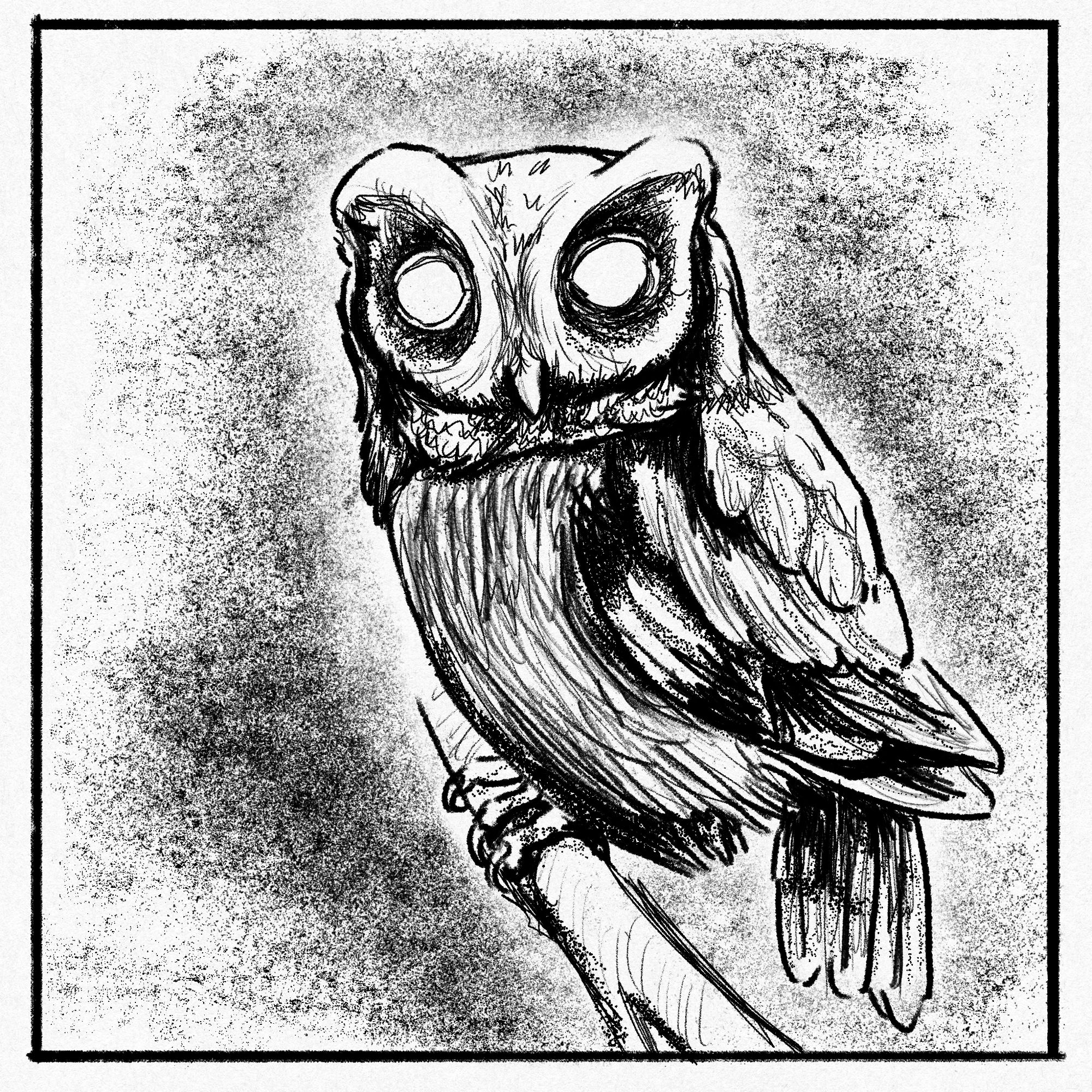 a black and white digital drawing of an owl with blank white eyes