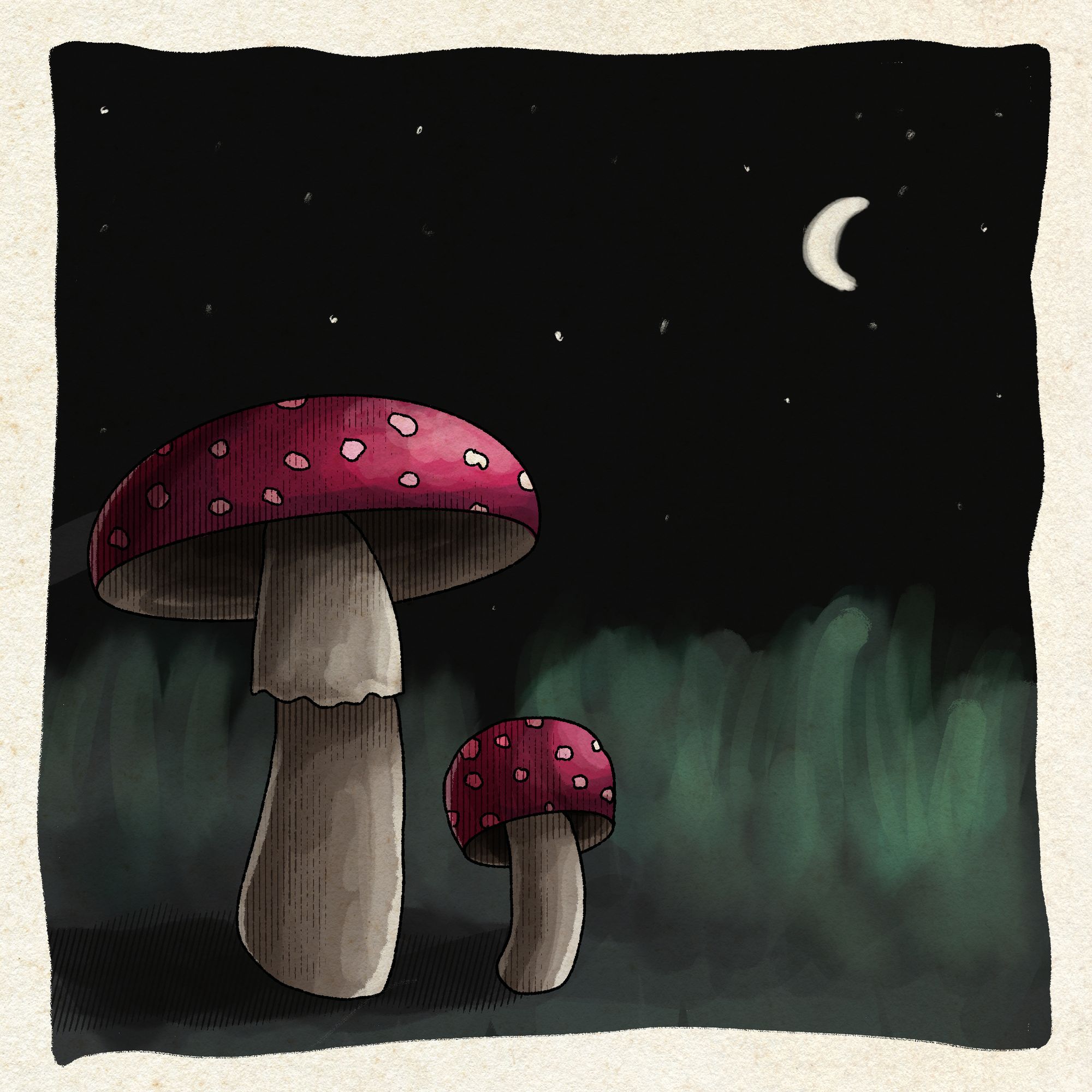 A digital drawing of fly agaric mushrooms, with the crescent moon and stars in the background.