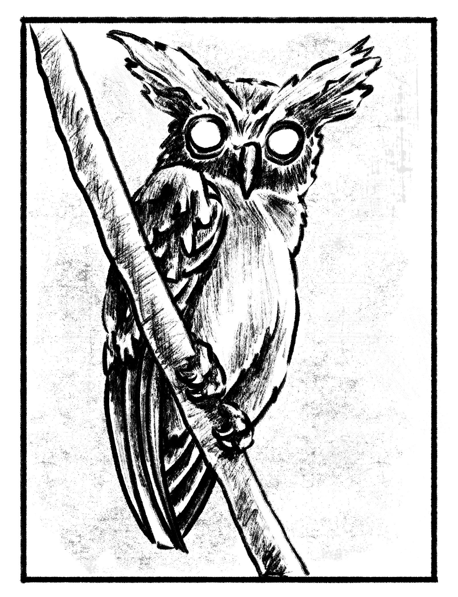 a sketchy digital drawing of a crested owl