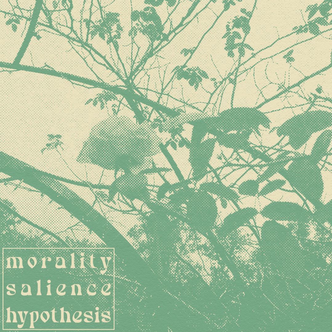 a green image of flowers with the words "morality salience hypothesis"