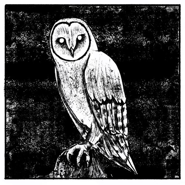A black and white digital drawing of a barn owl, rendered in a sketchy style.