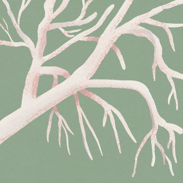 White tree branches with grainy pink shading and a mint green background.