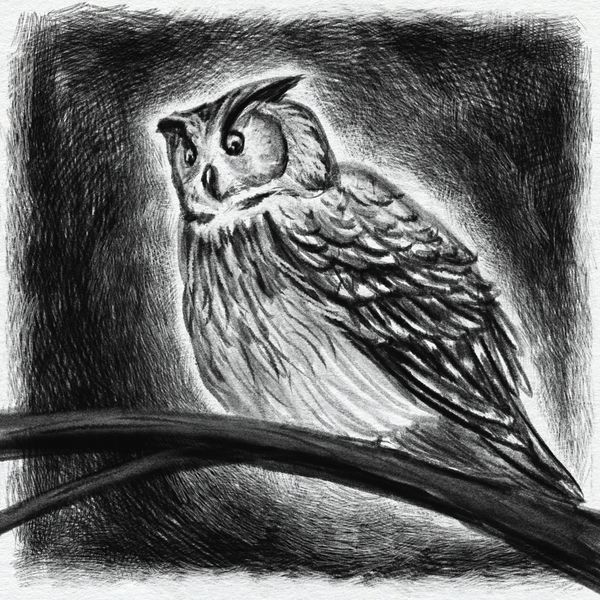 A black and white digital drawing of a Eurasian eagle owl, rendered in a sketchy style.