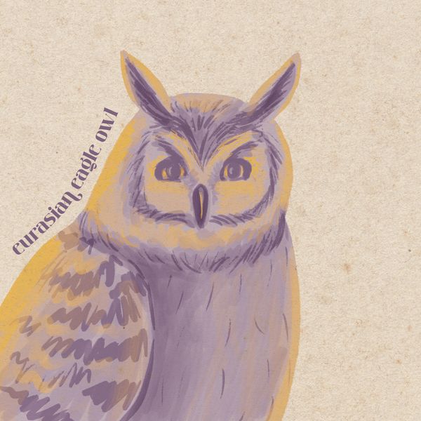 a drawing of a purple Eurasian eagle-owl