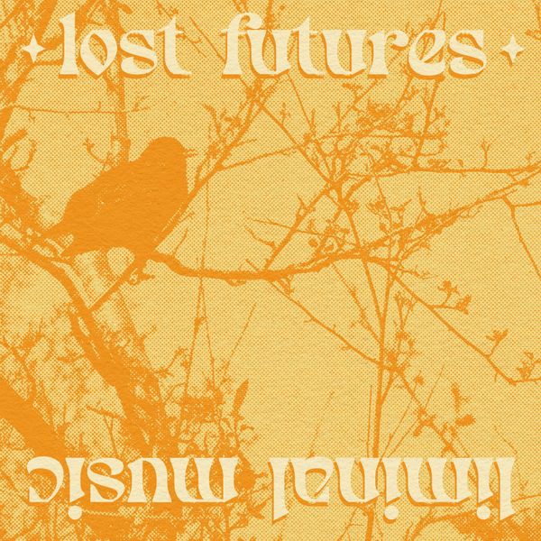 a yellow and orange halftone photograph of a raven with the words "lost futures, liminal music"