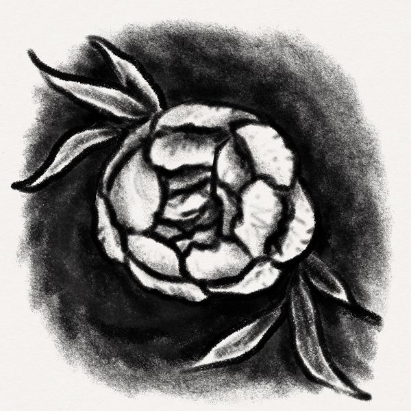 a digital black and white sketch of a peony