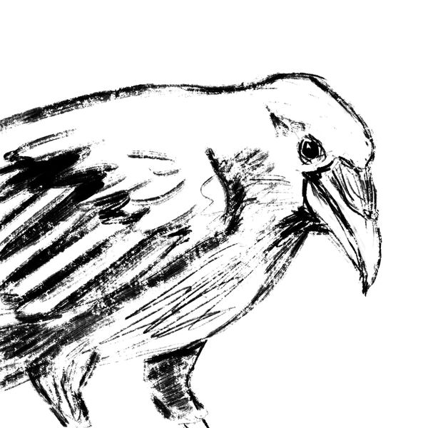 a digital sketch of a cheerful-looking raven