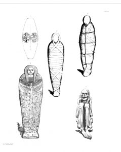 Image from A History of Egyptian Mummies By Thomas Joseph Pettigrew