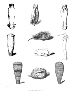 Image from A History of Egyptian Mummies By Thomas Joseph Pettigrew