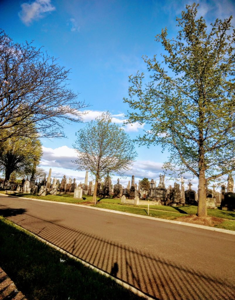 Calvary Cemetery, Queens, New York