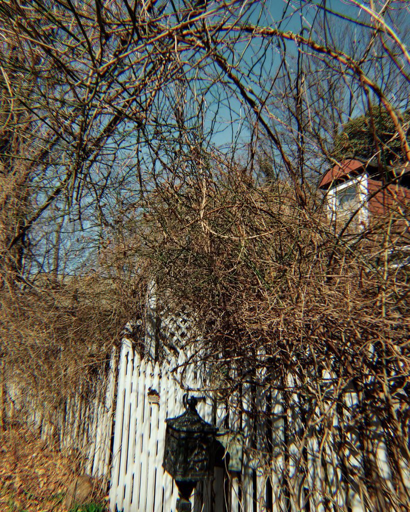 Lent-Riker-Smith Cemetery