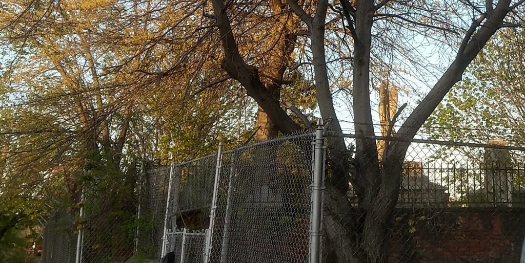 Lawrence Family Cemetery, Astoria