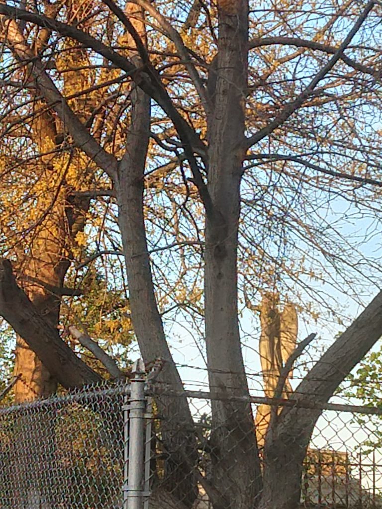 Lawrence Family Cemetery, Astoria