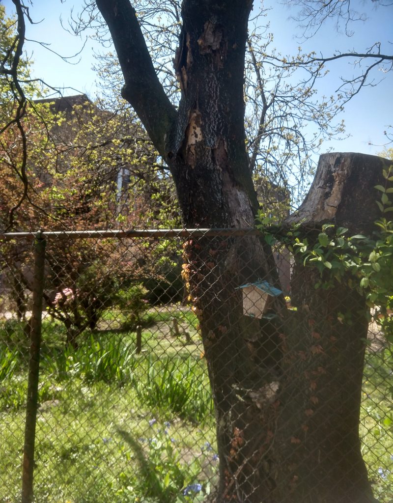 Moore-Jackson Cemetery